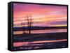 USA, New Mexico, Sunrise at Bosque del Apache National Wildlife Refuge-Terry Eggers-Framed Stretched Canvas