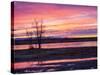 USA, New Mexico, Sunrise at Bosque del Apache National Wildlife Refuge-Terry Eggers-Stretched Canvas