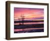 USA, New Mexico, Sunrise at Bosque del Apache National Wildlife Refuge-Terry Eggers-Framed Photographic Print