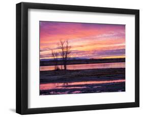 USA, New Mexico, Sunrise at Bosque del Apache National Wildlife Refuge-Terry Eggers-Framed Photographic Print