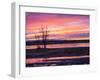 USA, New Mexico, Sunrise at Bosque del Apache National Wildlife Refuge-Terry Eggers-Framed Premium Photographic Print