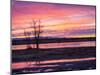 USA, New Mexico, Sunrise at Bosque del Apache National Wildlife Refuge-Terry Eggers-Mounted Premium Photographic Print