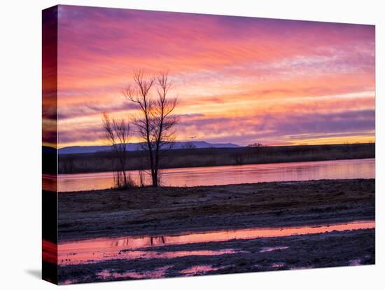 USA, New Mexico, Sunrise at Bosque del Apache National Wildlife Refuge-Terry Eggers-Stretched Canvas