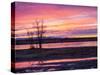 USA, New Mexico, Sunrise at Bosque del Apache National Wildlife Refuge-Terry Eggers-Stretched Canvas