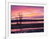 USA, New Mexico, Sunrise at Bosque del Apache National Wildlife Refuge-Terry Eggers-Framed Photographic Print
