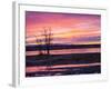 USA, New Mexico, Sunrise at Bosque del Apache National Wildlife Refuge-Terry Eggers-Framed Photographic Print