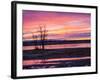 USA, New Mexico, Sunrise at Bosque del Apache National Wildlife Refuge-Terry Eggers-Framed Photographic Print