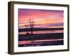 USA, New Mexico, Sunrise at Bosque del Apache National Wildlife Refuge-Terry Eggers-Framed Photographic Print