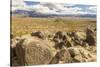 USA, New Mexico, Three Rivers Petroglyph Site. Petroglyphs and desert scenic.-Jaynes Gallery-Stretched Canvas