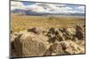 USA, New Mexico, Three Rivers Petroglyph Site. Petroglyphs and desert scenic.-Jaynes Gallery-Mounted Photographic Print