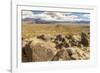 USA, New Mexico, Three Rivers Petroglyph Site. Petroglyphs and desert scenic.-Jaynes Gallery-Framed Photographic Print