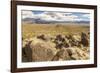 USA, New Mexico, Three Rivers Petroglyph Site. Petroglyphs and desert scenic.-Jaynes Gallery-Framed Photographic Print