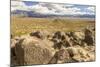 USA, New Mexico, Three Rivers Petroglyph Site. Petroglyphs and desert scenic.-Jaynes Gallery-Mounted Photographic Print