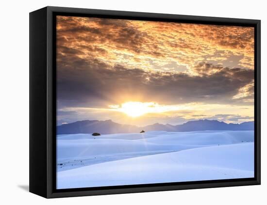 USA, New Mexico, White Sands National Monum-Michele Falzone-Framed Stretched Canvas