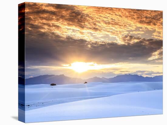 USA, New Mexico, White Sands National Monum-Michele Falzone-Stretched Canvas