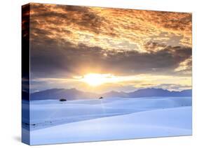 USA, New Mexico, White Sands National Monum-Michele Falzone-Stretched Canvas