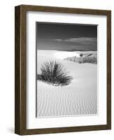 USA, New Mexico, White Sands National Monument. Bush in Desert Sand-Dennis Flaherty-Framed Photographic Print