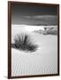 USA, New Mexico, White Sands National Monument. Bush in Desert Sand-Dennis Flaherty-Framed Photographic Print