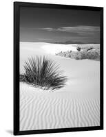 USA, New Mexico, White Sands National Monument. Bush in Desert Sand-Dennis Flaherty-Framed Photographic Print