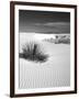 USA, New Mexico, White Sands National Monument. Bush in Desert Sand-Dennis Flaherty-Framed Photographic Print