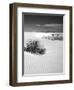 USA, New Mexico, White Sands National Monument. Bush in Desert Sand-Dennis Flaherty-Framed Premium Photographic Print