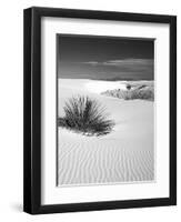 USA, New Mexico, White Sands National Monument. Bush in Desert Sand-Dennis Flaherty-Framed Premium Photographic Print