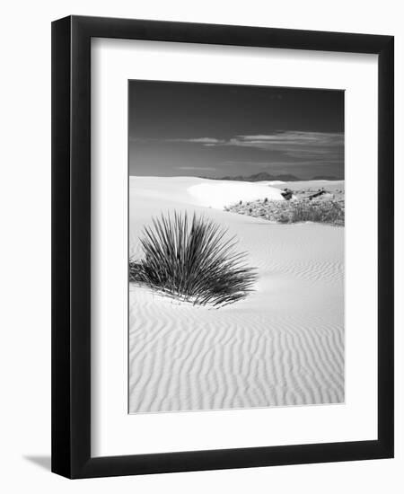 USA, New Mexico, White Sands National Monument. Bush in Desert Sand-Dennis Flaherty-Framed Premium Photographic Print