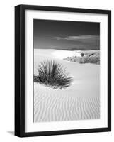 USA, New Mexico, White Sands National Monument. Bush in Desert Sand-Dennis Flaherty-Framed Photographic Print