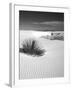 USA, New Mexico, White Sands National Monument. Bush in Desert Sand-Dennis Flaherty-Framed Premium Photographic Print