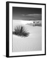 USA, New Mexico, White Sands National Monument. Bush in Desert Sand-Dennis Flaherty-Framed Premium Photographic Print