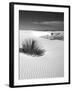 USA, New Mexico, White Sands National Monument. Bush in Desert Sand-Dennis Flaherty-Framed Premium Photographic Print