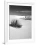 USA, New Mexico, White Sands National Monument. Bush in Desert Sand-Dennis Flaherty-Framed Photographic Print