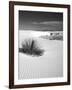 USA, New Mexico, White Sands National Monument. Bush in Desert Sand-Dennis Flaherty-Framed Photographic Print