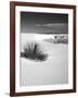 USA, New Mexico, White Sands National Monument. Bush in Desert Sand-Dennis Flaherty-Framed Photographic Print