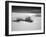 USA, New Mexico, White Sands National Monument. Bush in Desert Sand-Dennis Flaherty-Framed Photographic Print