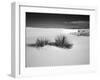 USA, New Mexico, White Sands National Monument. Bush in Desert Sand-Dennis Flaherty-Framed Premium Photographic Print