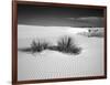 USA, New Mexico, White Sands National Monument. Bush in Desert Sand-Dennis Flaherty-Framed Photographic Print