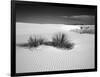 USA, New Mexico, White Sands National Monument. Bush in Desert Sand-Dennis Flaherty-Framed Photographic Print