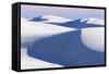 USA, New Mexico, White Sands National Monument. Desert Landscape-Don Paulson-Framed Stretched Canvas