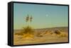 USA, New Mexico, White Sands National Monument. Moonrise over Desert-Jaynes Gallery-Framed Stretched Canvas