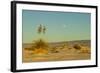 USA, New Mexico, White Sands National Monument. Moonrise over Desert-Jaynes Gallery-Framed Photographic Print