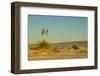 USA, New Mexico, White Sands National Monument. Moonrise over Desert-Jaynes Gallery-Framed Photographic Print