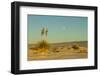 USA, New Mexico, White Sands National Monument. Moonrise over Desert-Jaynes Gallery-Framed Photographic Print