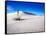 USA, New Mexico, White Sands National Monument, Sand Dune Patterns and Yucca Plants-Terry Eggers-Framed Stretched Canvas