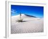 USA, New Mexico, White Sands National Monument, Sand Dune Patterns and Yucca Plants-Terry Eggers-Framed Photographic Print