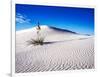 USA, New Mexico, White Sands National Monument, Sand Dune Patterns and Yucca Plants-Terry Eggers-Framed Photographic Print