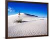 USA, New Mexico, White Sands National Monument, Sand Dune Patterns and Yucca Plants-Terry Eggers-Framed Photographic Print