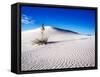 USA, New Mexico, White Sands National Monument, Sand Dune Patterns and Yucca Plants-Terry Eggers-Framed Stretched Canvas