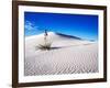 USA, New Mexico, White Sands National Monument, Sand Dune Patterns and Yucca Plants-Terry Eggers-Framed Photographic Print