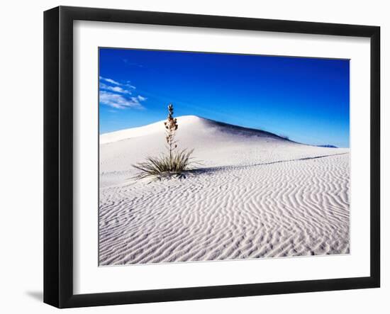 USA, New Mexico, White Sands National Monument, Sand Dune Patterns and Yucca Plants-Terry Eggers-Framed Premium Photographic Print